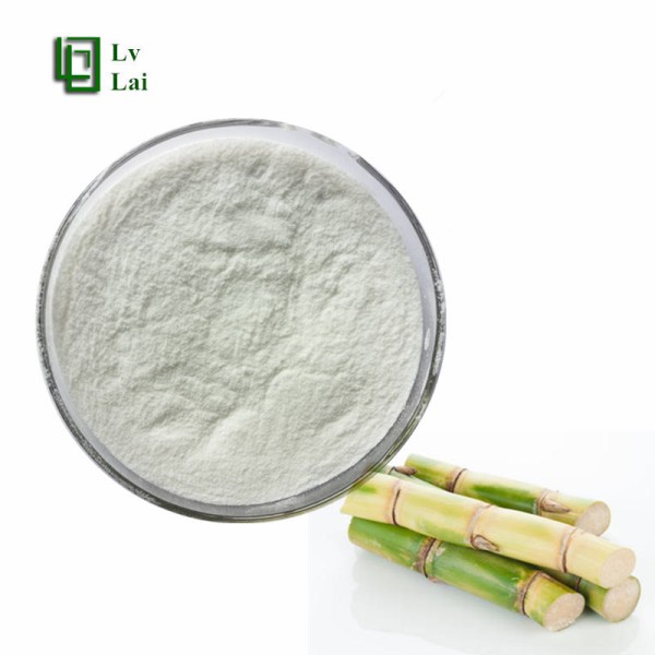 Sugar Cane Powder Supplier - Fruit Juice Powder Natural