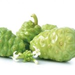 Noni Powder Factory - Private Label OEM Custom Service