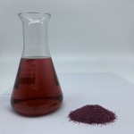 Black Plum Powder Factory - Fruit Juice Concentrate Hot Sales