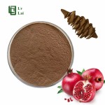 Pomegranate Powder Factory - Extract Water Soluble Wholesale