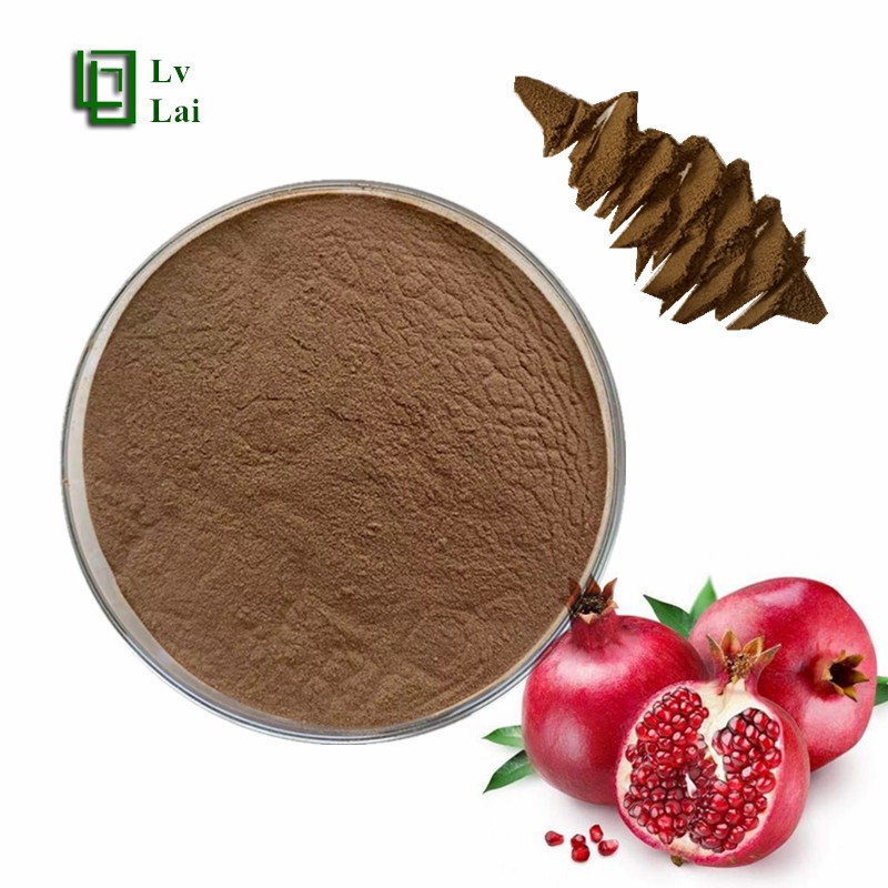 Pomegranate Powder Factory - Extract Water Soluble Wholesale