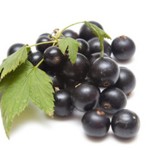 Brazilian Berry Powder Supplier - Juice Extract Water Soluble