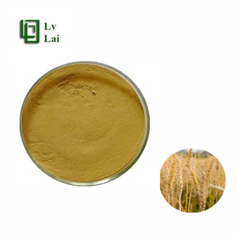 Wheat Fiber Powder Supplier - Dietary Fiber Extract Custom