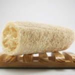 Loofah Sponge Powder Factory - Natural Extract Water Soluble