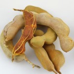 Tamarind Powder Supplier - Fruit Extract Water Soluble OEM