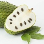 Soursop Powder Manufacturer - Fruit Juice Powder Premium