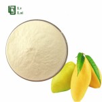 Mango Powder Manufacturer - Fruit Juice Concentrate Custom