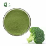 Broccoli Powder Factory - Cauliflower Extract Wholesale