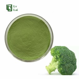 Broccoli Powder Factory - Cauliflower Extract Wholesale