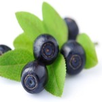 Brazilian Berry Powder Supplier - Juice Extract Water Soluble