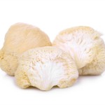 Hericium Peptide Manufacturer - Ericium Extract Powder