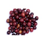 Fruit Juice Powder Factory - Camu Camu Extract Food Grade
