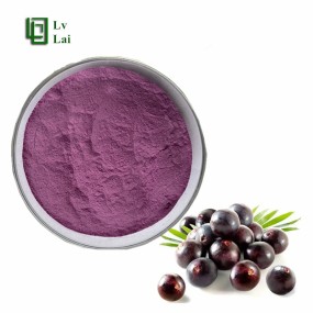 Brazilian Berry Powder Supplier - Juice Extract Water Soluble