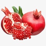 Pomegranate Powder Factory - Extract Water Soluble Wholesale