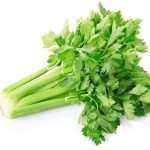 Celery Powder Manufacturer - Water Soluble Extract Natural