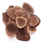 Deer Antler Peptide Supplier - Polypeptides Organic Bulk