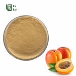 Apricot Powder Factory - 100% Juice Concentrate Organic