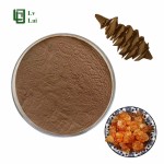 Peach Gum Powder Manufacturer - Water Soluble Extract Bulk