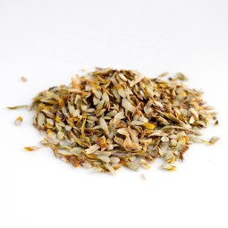 Dendrobium Slices Manufacturer - Organic Dried Herbal Bulk