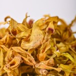 Dendrobium Flower Manufacturer - Organic Herbal Supplement Custom