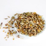 Dendrobium Slices Manufacturer - Organic Dried Herbal Bulk