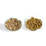 Dendrobium Officinale Factory - Dried Stem Health Supplement
