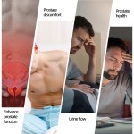 Herbal Tea Supplier - Prostate Detox Energy Boost