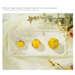 Chrysanthemum Tea Factory - Cassia Seed Wolfberry Blend