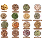 Star Anise Supplier - Raw Processed Seasoning Hot