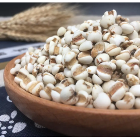 Celery Seed Powder Factory - Extract Powder Raw Material