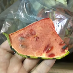 Freeze Dried Watermelon Factory - Nutrient Rich Brewing Material
