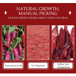 Lotus Seed Supplier - De Nucleated Ground Bulk