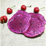 Dragon Fruit Slices Factory - Organic Dried Snacks AD Process