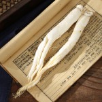 Ginseng Root Factory - Natural Dried White Ginseng