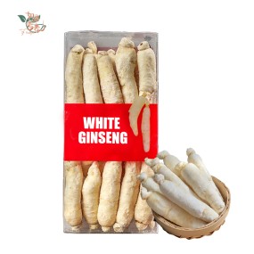 Ginseng Root Manufacturer - Dry Ren Shen Customized