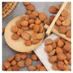 Apricot Kernels Supplier - Bitter Nuts Organic Bulk