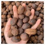 Fructus Tsaoko Factory - Dried Spices Cheap Price