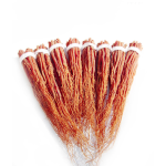 Red Ginseng Supplier - Root Beard Fresh Stock