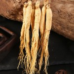 Ginseng Root Factory - Natural Cultivated Whole