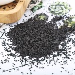 Basil Seeds Supplier - Best Price Quality Seeds