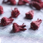 Hibiscus Tea Supplier - Roselle Extract Bulk