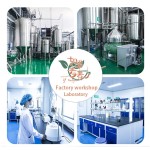 Chia Seeds Factory - Bulk Seed High Quality