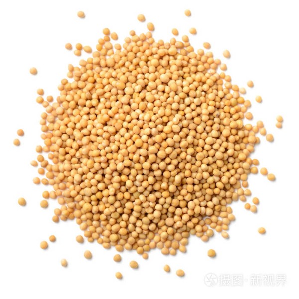 Mustard Seeds Factory - Dry Yellow Grain Natural
