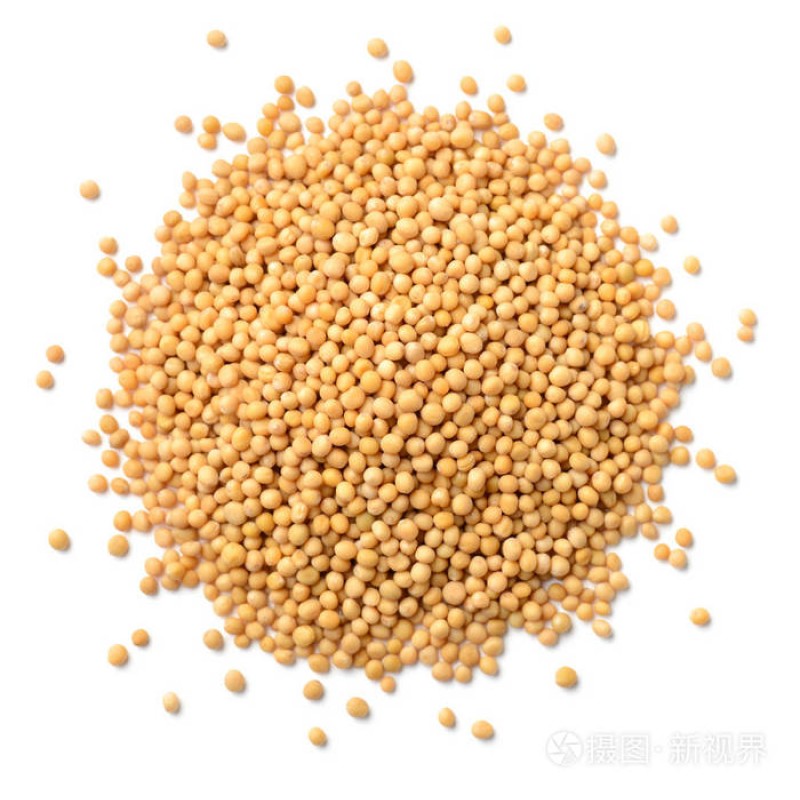 Mustard Seeds Factory - Dry Yellow Grain Natural