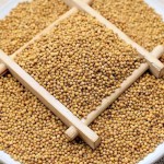 Mustard Seeds Manufacturer - Yellow Seeds Kitchen