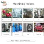 Hibiscus Powder Factory - Dried Flower Grind