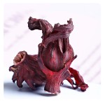 Hibiscus Flower Supplier - Bulk Extract Price