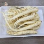 White Ginseng Supplier - Root Bulk Wholesale