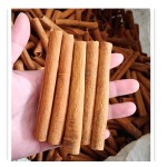 Tangerine Peel Manufacturer - Dry Orange Peel New