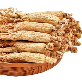 Ginseng Root Factory - Natural Cultivated Whole
